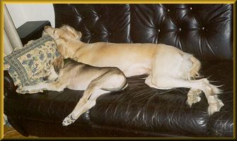 Muumi and baby Fiona on a nap.